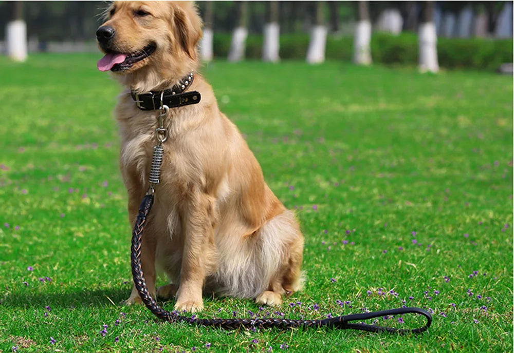 No Pull Leather Dog Leash Durable Cowhide Braided Dog Leash Buffer Spring Design for Training Walking Large and Medium Dogs Pets