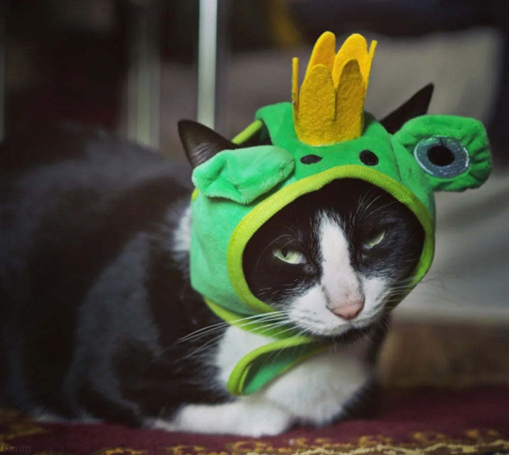 Cute Pet Hat Small Dog Cat Hat Easter Bunny Hat Crab Lobster Frog Cap Pet Party Costume Accessories Headwear for Cat Kitten Pug