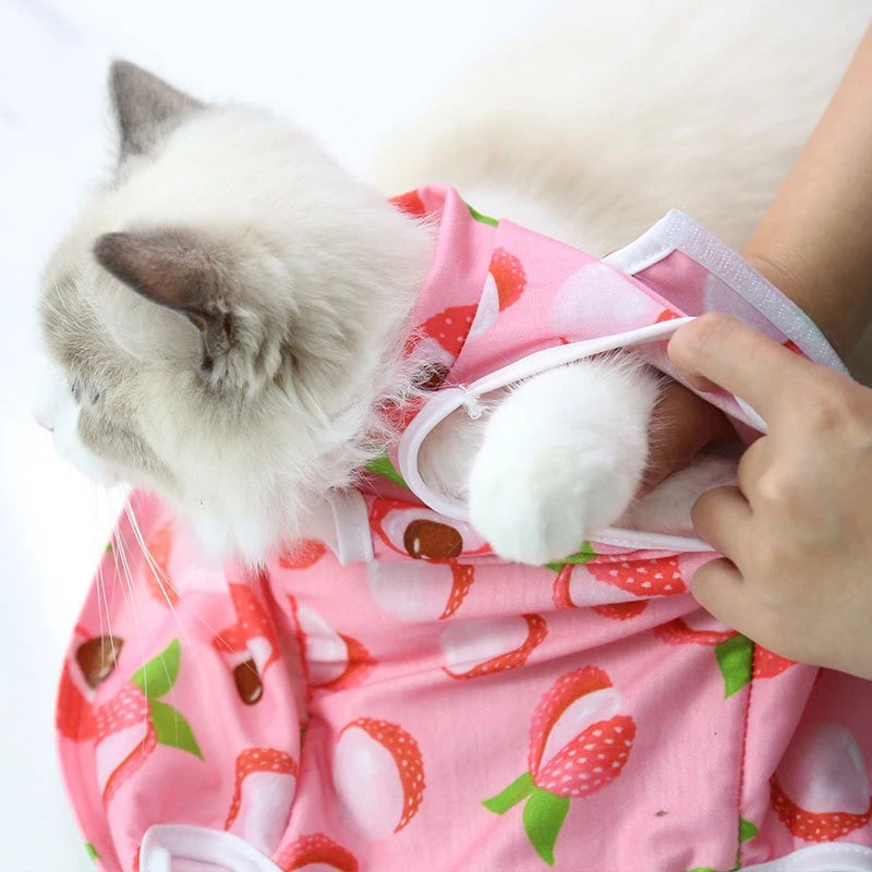 Cute Cartoon Print Overalls for Small Medium Dogs After Sterilization Dressing Surgery Pet Cat Outfit Soft Cotton Puppy T Shirts