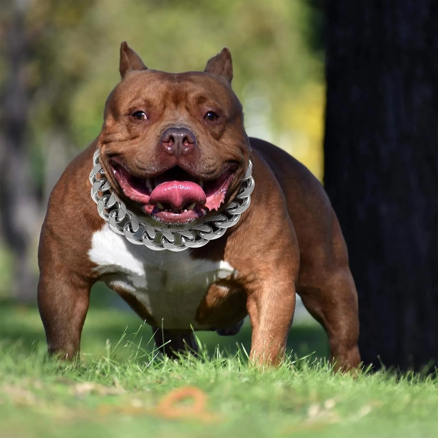 23MM Gold Chain Dog Collar Luxurious Sliver Gold Cuban Link Dog Collar with Secure Snap Buckle for Medium and Large Pit Bulls