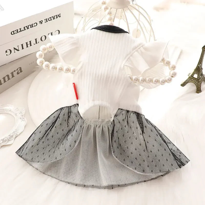 Dog Princess Dress Summer Dog Clothes for Small Dogs Pet T-Shirt Black Lace Retro Puppy Skirt Chihuahua Bichon Girls Dog Costume