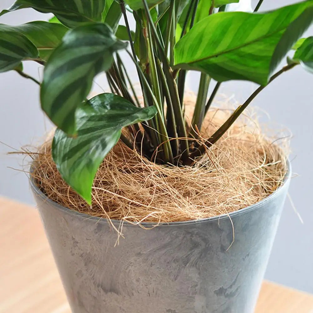100g Bird Nesting Material Multipurpose Natural Coconut Fiber Nest Making Supply For Birds Hen Small Animal Nest Making Stuff