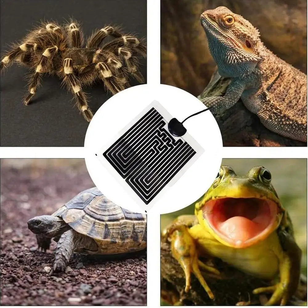 Terrarium Heating Mat Temperature Adjustable Snake Heating Pad Reptile Heating Pad Snake Heating Pad Reptile Heat Mat Under Tank
