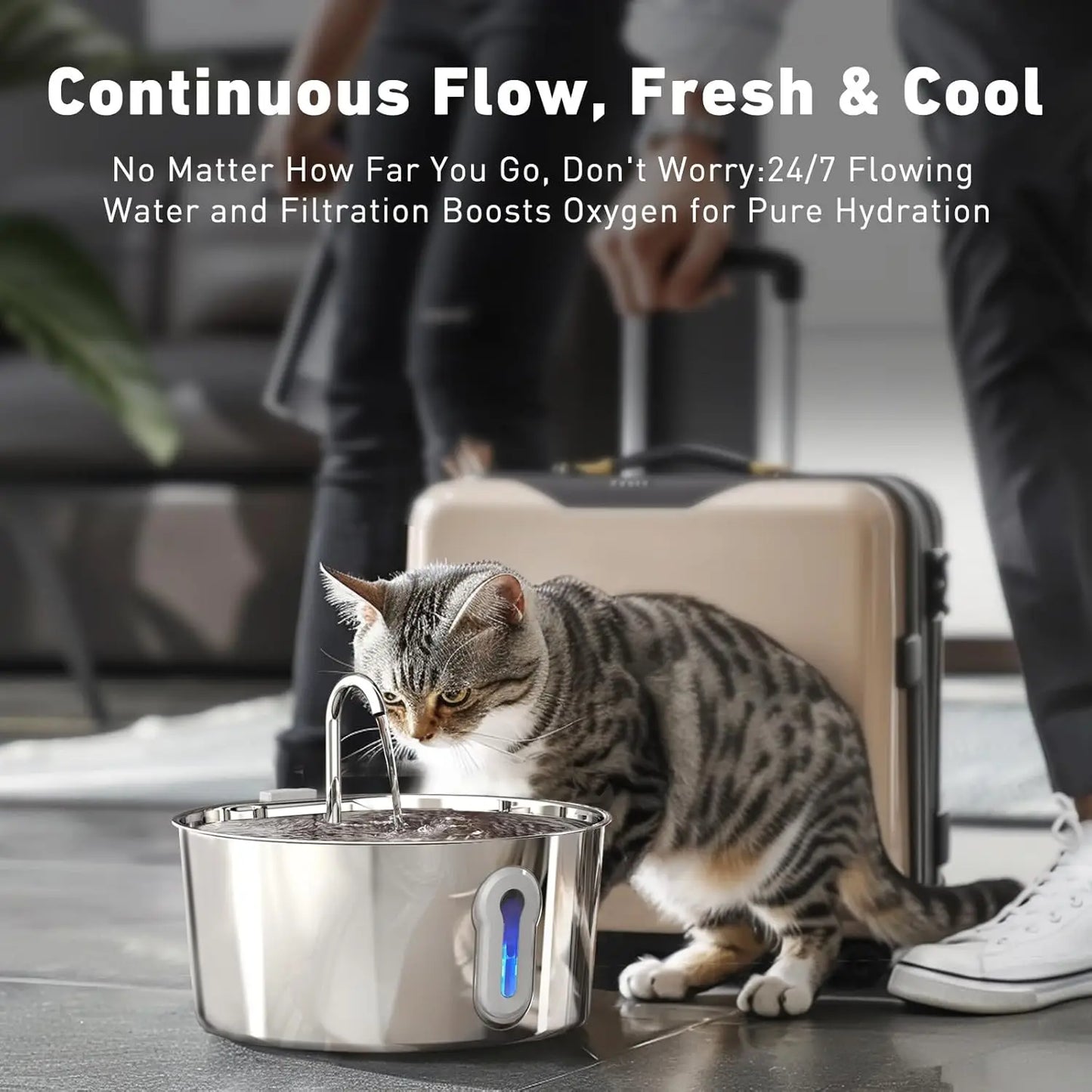 Stainless Steel Cat Water Fountain & 8+4 Replacement filters, 135oz/4L Automatic Pet Fountain Dog Water Dispenser for Cats Dogs