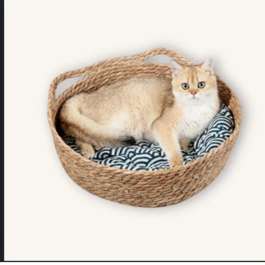 Wholesale cat cage products, handmade products from Vietnam