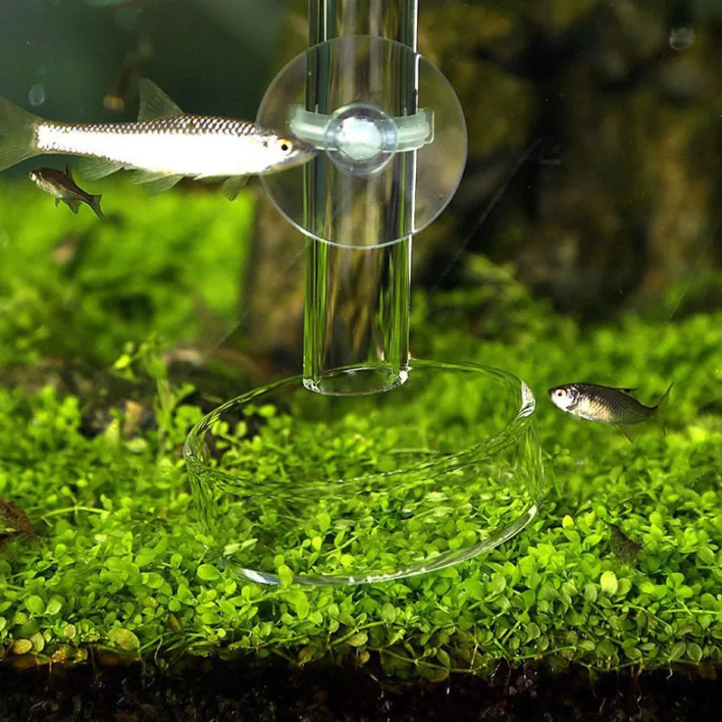 Transparent Aquarium Fish Tank Shrimp Food Feeding Circle Glass Feeder Floating Bottom Feeder Fish Shrimp Aquarium Accessories