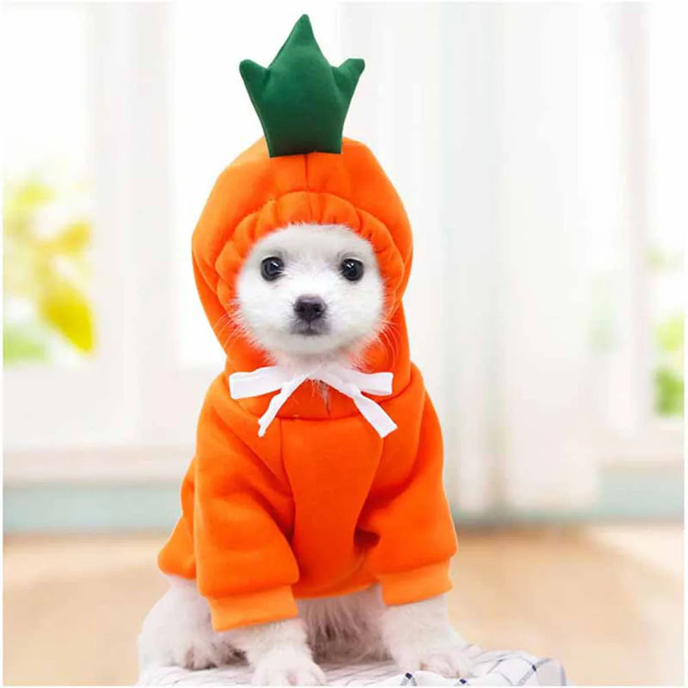 Cute Fruit Pet Costume Dog Clothes for Small Dogs Warm Fleece Doggy Hoodies Pet Dog Cat Clothing Puppy Sweater for Chihuahua Pug