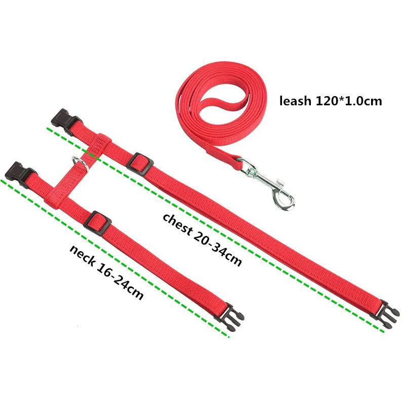 Adjustable Pet Cat Collar For Cats Cozy Nylon Rabbit Kitten Kedi Harness Leash Set Small Puppy Dog Cat Accessories Pet Products