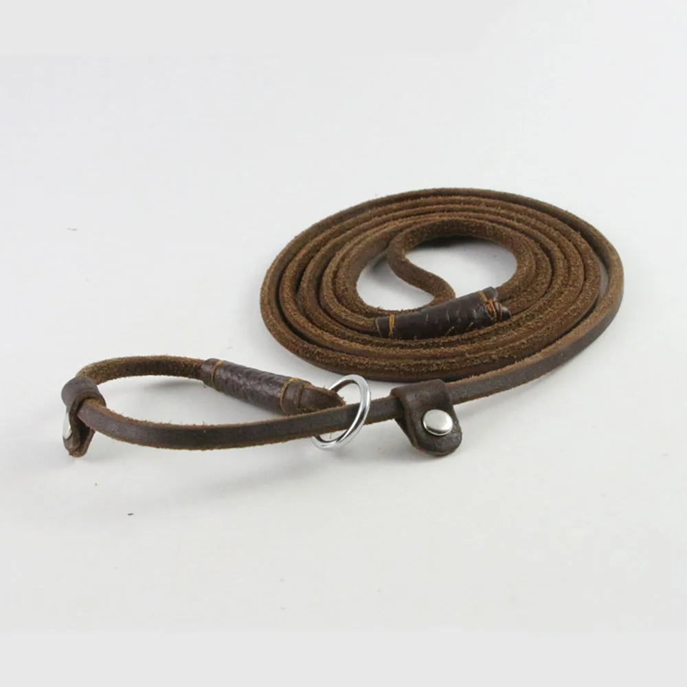 Slip Dog Leash Soft Thin Handmade Genuine Leather Pet Puppy Dog Chain Collar Leash Slip for Small Medium Dogs Training & Walking