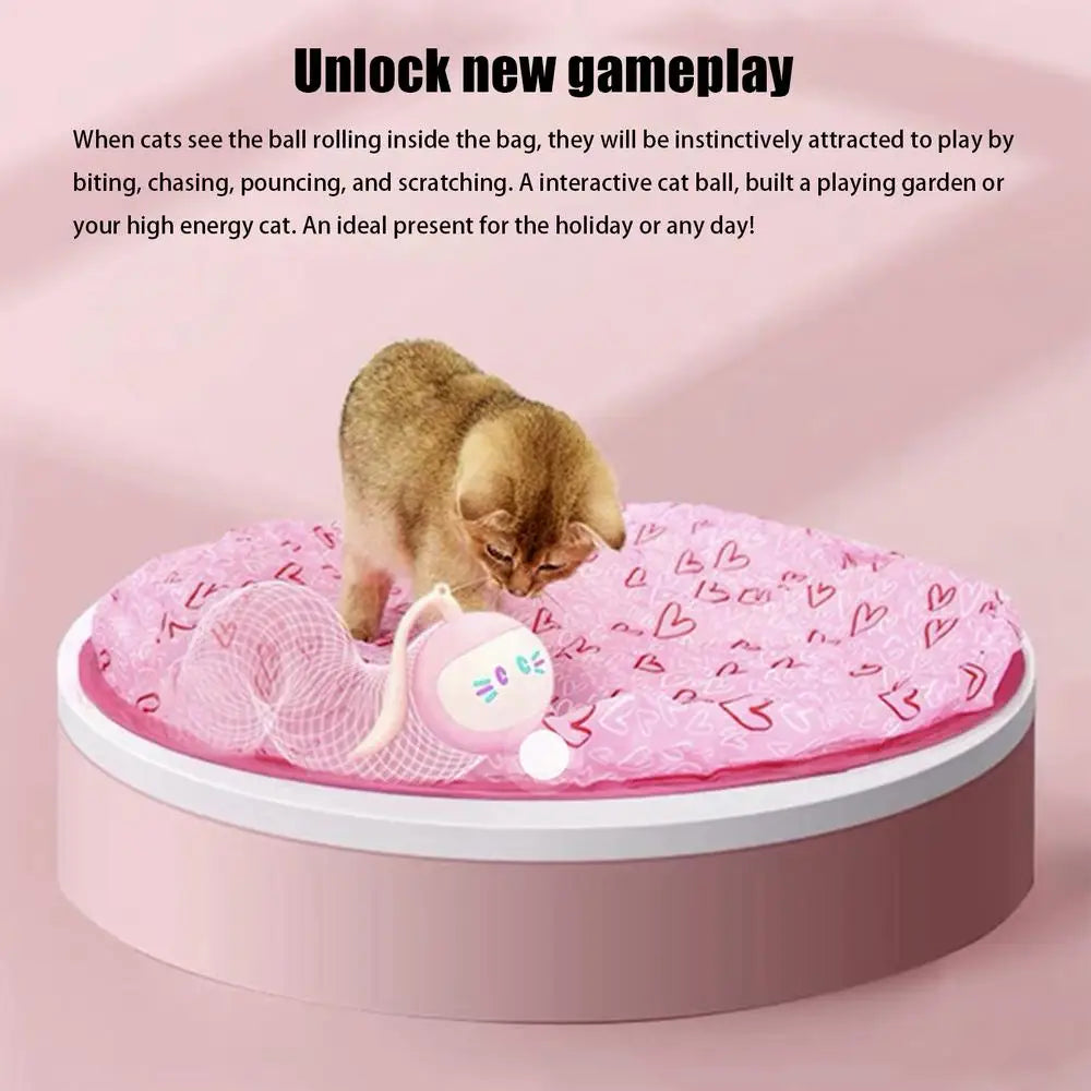 2 in 1 Self Rotating Ball Cat Toy Smart Interactive Cat Toy USB Rechargeable Wicked Ball 360 Degree Automatic Cat Moving Rolling