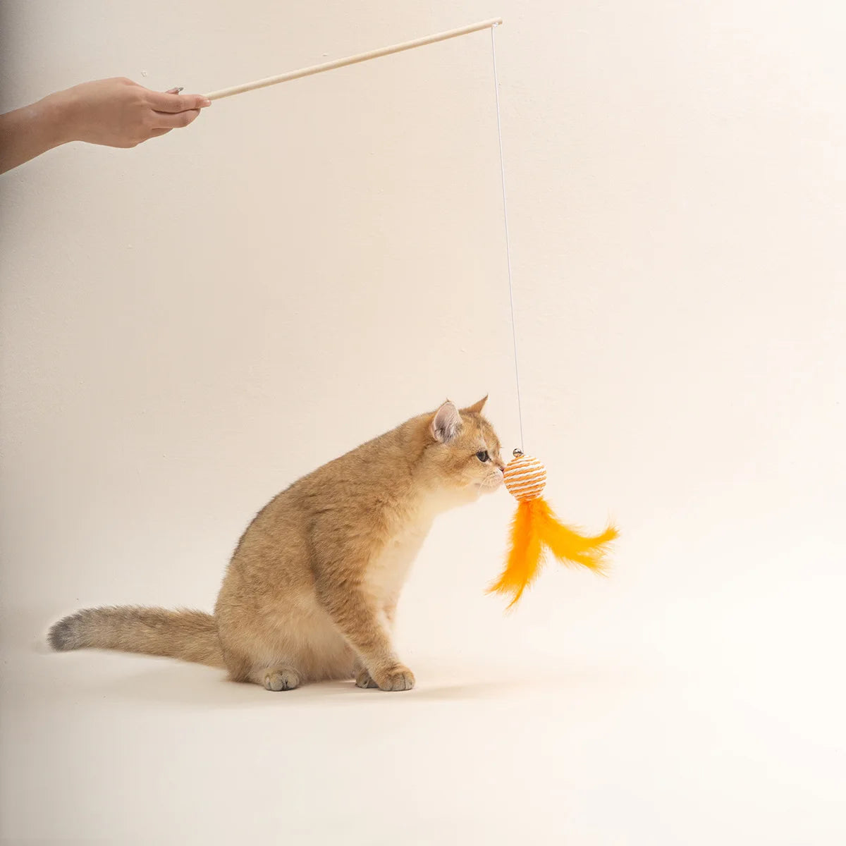 Cat Toy Cat Teaser Sticks Paper Rope Ball Tease Cat Stick Cat Interactive Toy Pet Toy Replace Head Cat Supplies Tease Cat Ball.