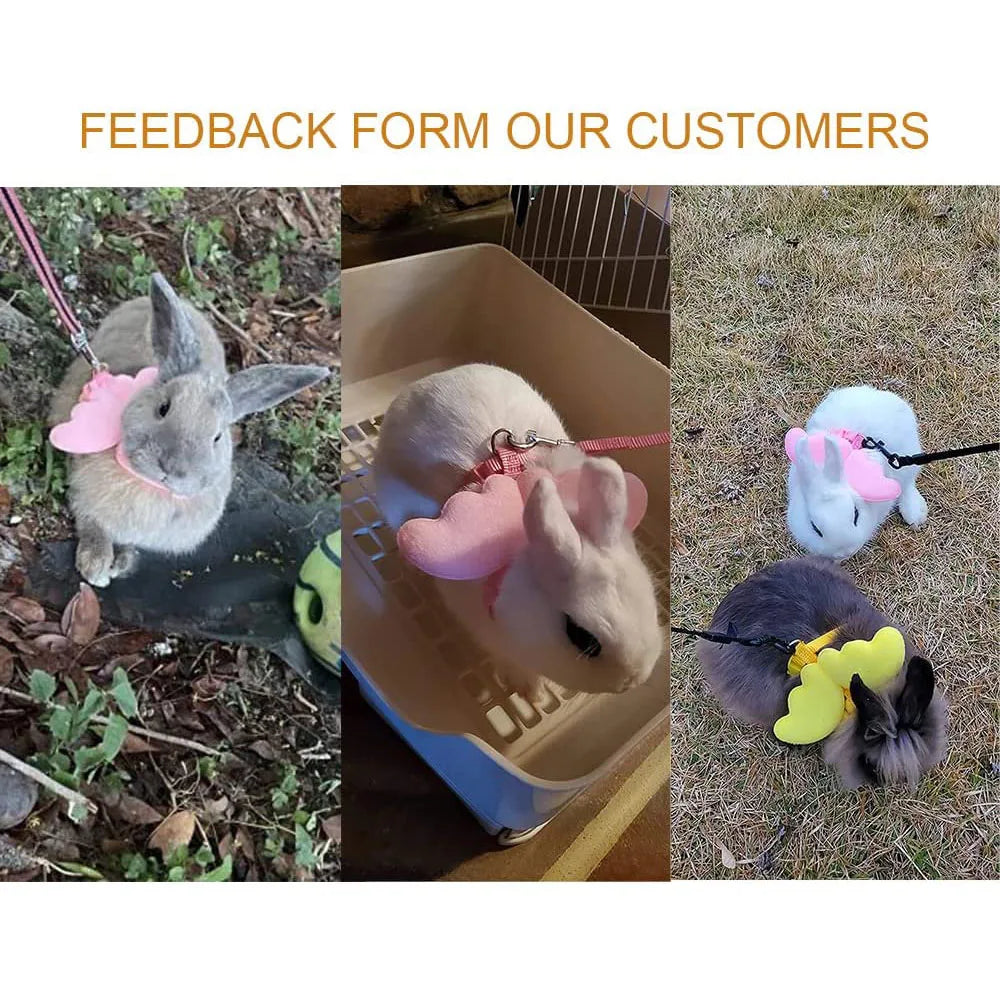 Small Animal Rabbit Harness with Leash Cute Bunny Collar Pet Bunny Supplies Cat Harness & Leash Set for Adult Guinea Pig Ferret