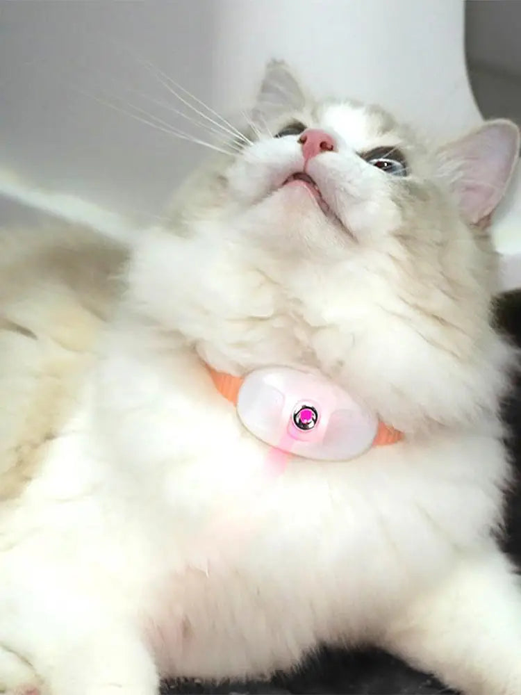 Laser Cat Collar LED Laser Cat Teasing Toy Cat Collar Toy Electric Smart Laser Teasing Cat Interactive Toy Kitten Playing Toy