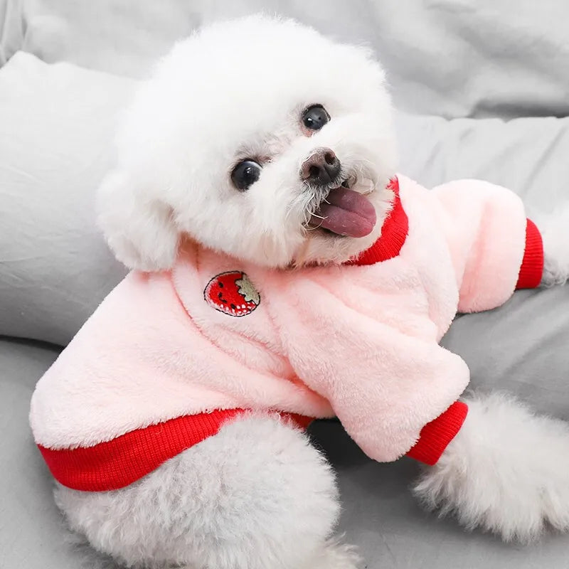 Pet Dog Clothes Warm Fleece Cute Fruit Print Coat Small Medium Cat Shirt Jacket Autumn Puppy Sweater Hoodie Chihuahua Yorkies