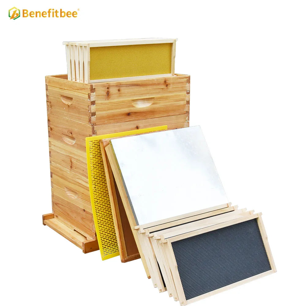 Wholesale bee hives beekeeping wooden langstroth beehive with frame