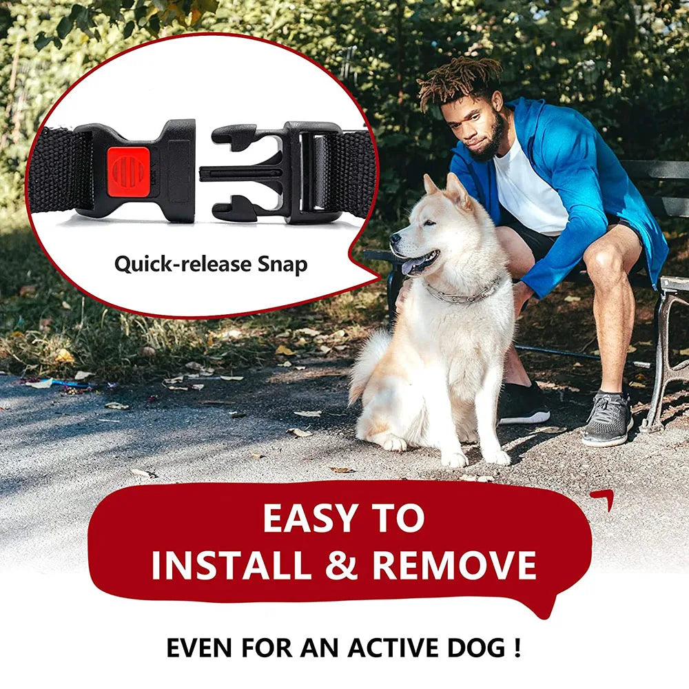 Strong Dog Prong Collar for Dogs Adjustable Detachable Dog Training Collar with Quick Release Buckle for Small Medium Large Dogs