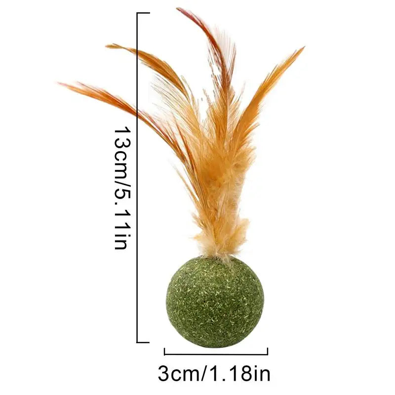 1pcs Catnip Feather Ball Interactive Natural Lollipop for Cat Kitten Toys, Feathers Design Teeth Cleaning Playing Toys