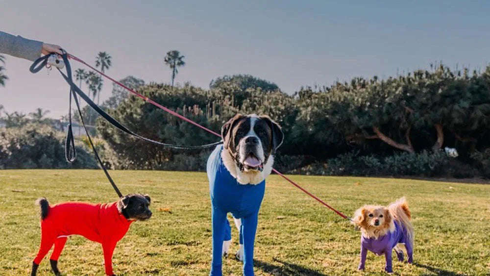 Dog Onesie Clothes Shedding of Dog Hair for Home Car Travel Anxiety Calming Shirt Surgery Recovery Body Jumpsuit for Large Dogs