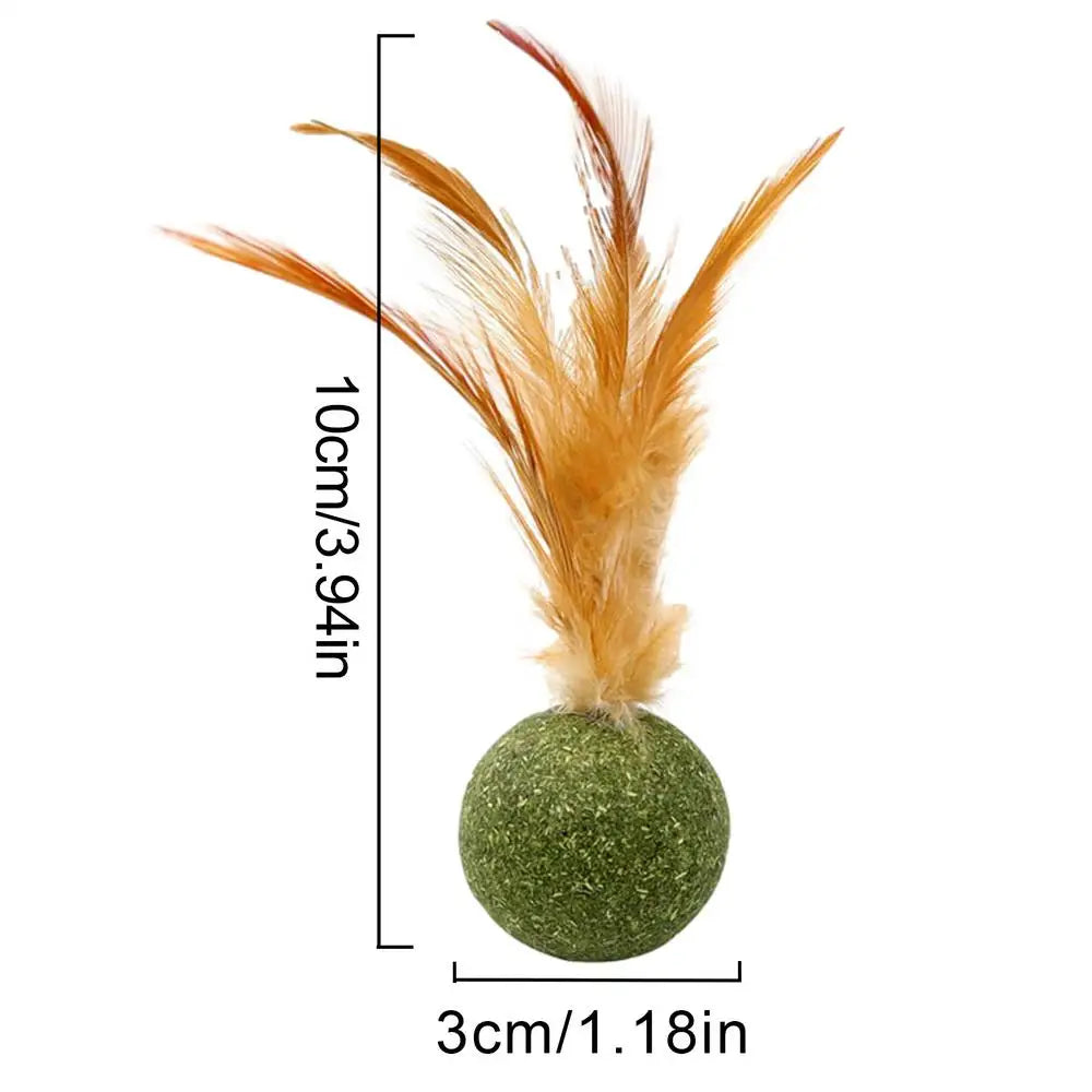 1pcs Catnip Feather Ball Interactive Natural Lollipop for Cat Kitten Toys, Feathers Design Teeth Cleaning Playing Toys