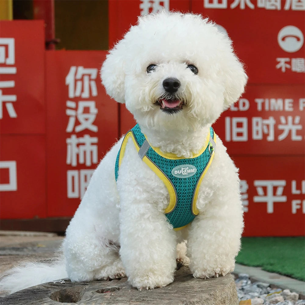 Summer Pincher Puppy Dog Vest Harness for Small Dogs High Quality Pet Harnesses and Leash Set Pomeranian Poodle mascotas Chain
