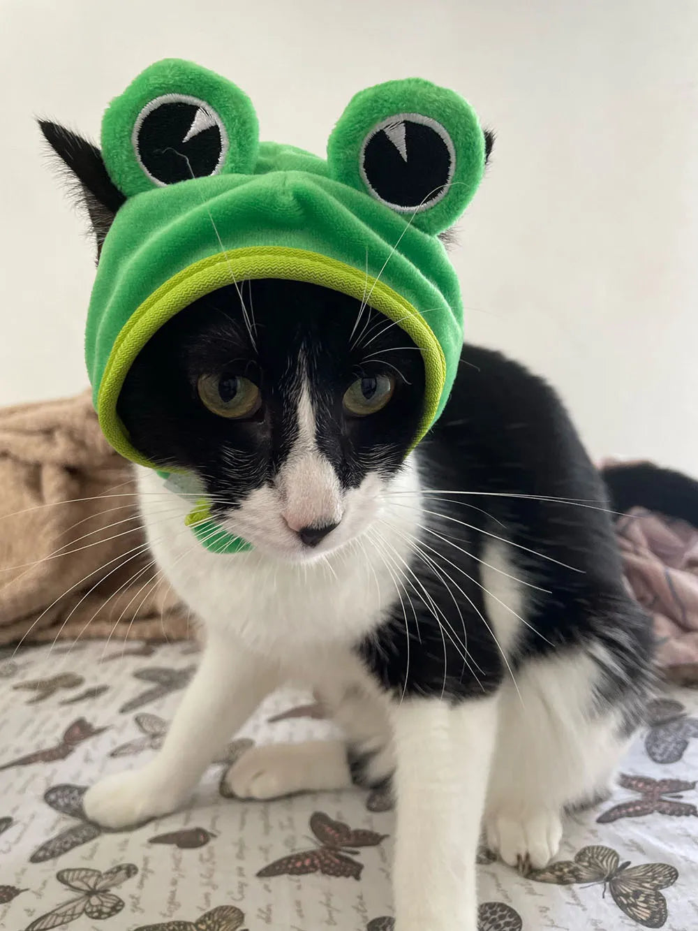 Cute Pet Hat Small Dog Cat Hat Easter Bunny Hat Crab Lobster Frog Cap Pet Party Costume Accessories Headwear for Cat Kitten Pug