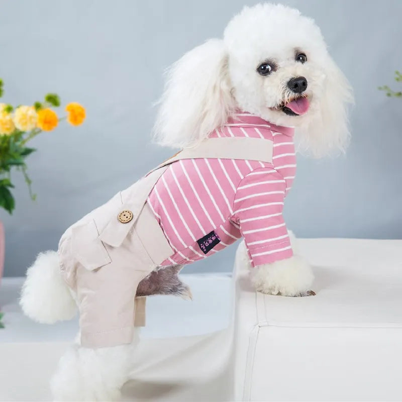 2023 Princess Dog Colorful Stripe Soft Suit Puppy Jumpsuit Spring Doggie Casual Pants Small Medium Pet Couple Four-Legged Coat