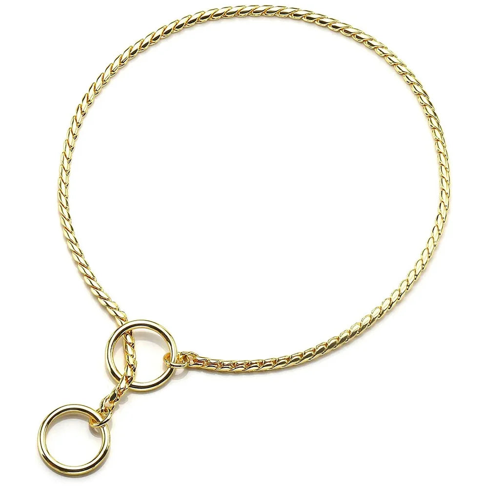 Metal Chain Dog Show Collar Pet Slip Collar for Shows Fine Brass Snake Choke Chain Collar Adjustable for Small Medium Large Dogs