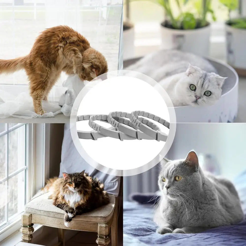 4pcs Calming Collar For Cats Relax Cat Pheromone Collar Calming Pheromone Collar Cats Adjustable Long-Lasting Pheromone Collar