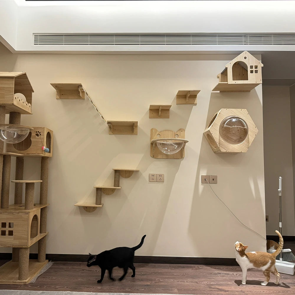 Cat Mounted Climbing Wall with Cat Hammock and Cat Climbing Ladder Cat House Cat Shelf Sisal nest for Kitten Playing and Rest