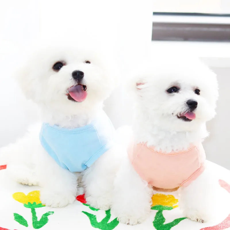 Summer Dog Vest Puppy Clothes for Small Dog Pet Solid Shirt Small Dogt Shirt Chihuahua Bichon Dog Undershirt Girls Dog Costume