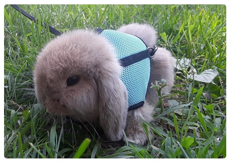 Mutil-Colors Breathable Stylish Vest Small Pet Carrier Bag Adjustable Soft Harness And Elastic Leash Set For Rabbits
