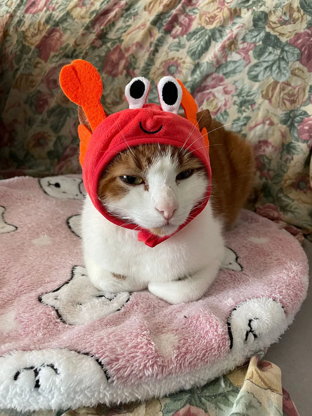 Cute Pet Hat Small Dog Cat Hat Easter Bunny Hat Crab Lobster Frog Cap Pet Party Costume Accessories Headwear for Cat Kitten Pug