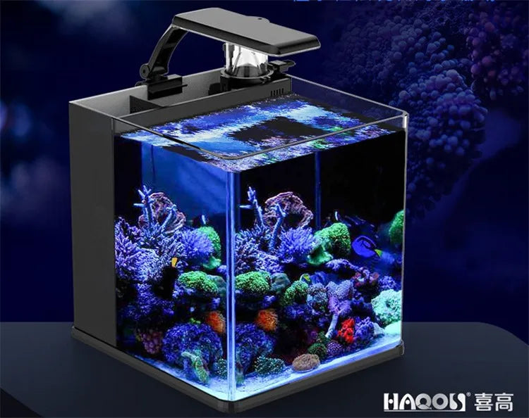 Table Curvedcurved Saltwater Marine Fish Tank Aquarium
