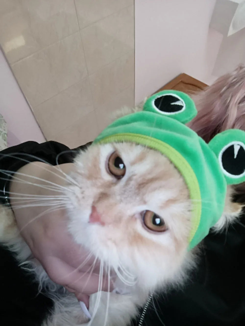 Cute Pet Hat Small Dog Cat Hat Easter Bunny Hat Crab Lobster Frog Cap Pet Party Costume Accessories Headwear for Cat Kitten Pug