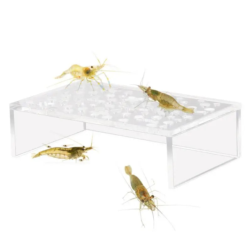 Shrimp Breeding Protector Acrylic Shrimp Breeding Cave Shrimp Tunnel Transparent Cave Shrimp Tank Decor Aquarium Tunnels