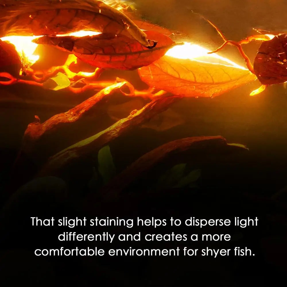 Terminalia Catappa Leaves Betta Shrimp Leaves PH Balance Water Conditioner for Aquarium Turtles Shrimps Habitat Accessory