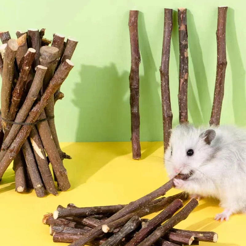 100/200/300/500g Hamster Rabbit Teeth Grinding Apple Tree Stick Minerals Molar Stone Toys for Chinchilla Hamster Pet accessories