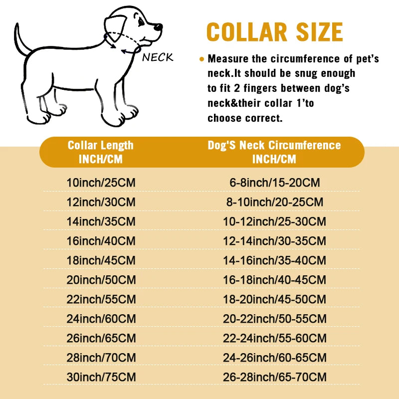 Dog P Chrome Plated Metal Dog Training Choke and Collar, Fully Guaranteed, Against Rust Tarnish or Breakage, Recommended
