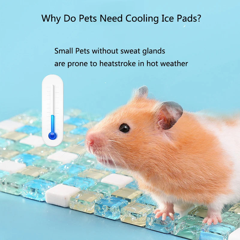 Small Pets Hamster Summer Cooling Pad Natural crystal ore Cool Mat Resin Cooler Beds for Chinchilla Guinea Pig Hamster Accessory