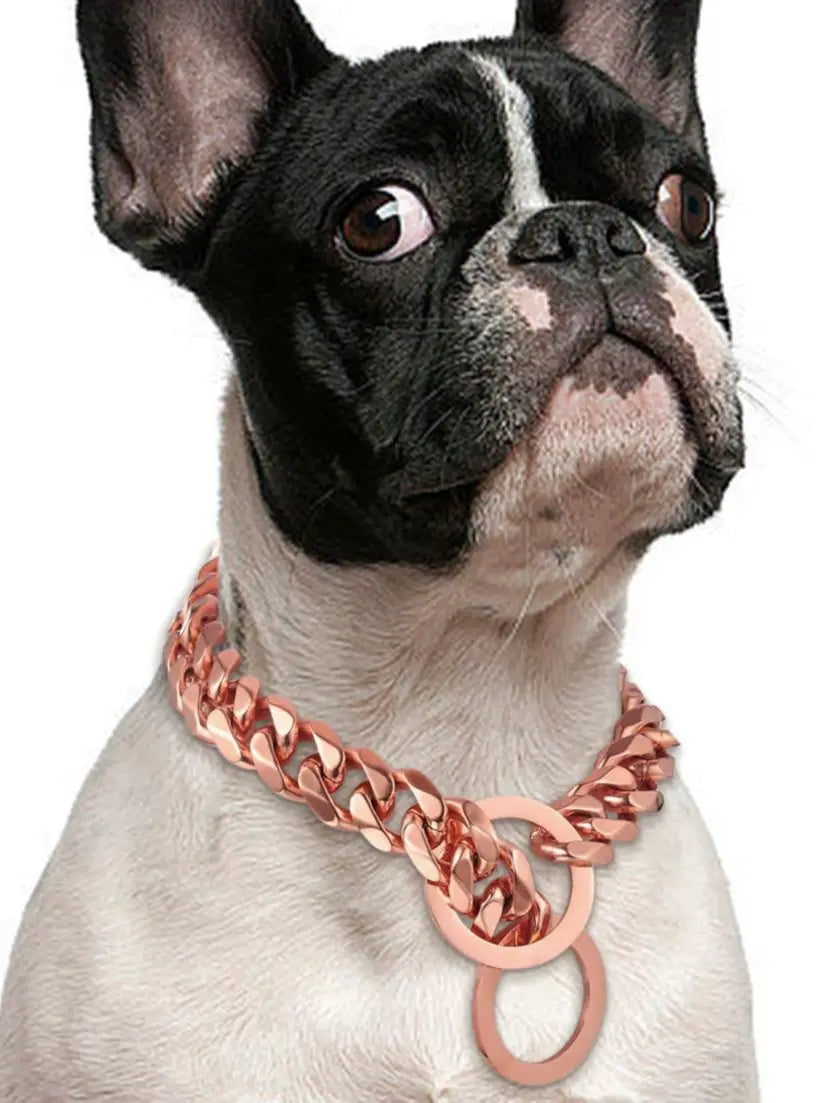 Stainless Steel Dog Chain Collar, Rose Gold Pet Necklace, Strong P Chain Choker for Small and Big Dogs, 15mm Width