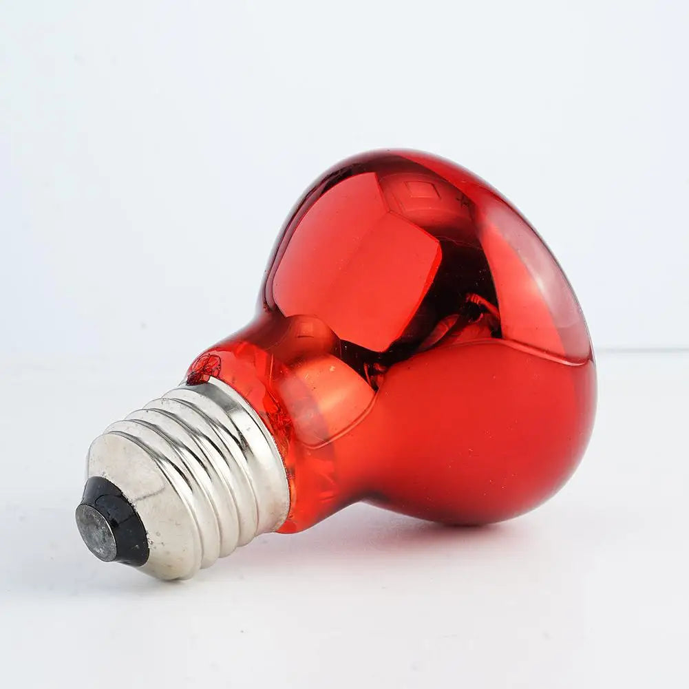 E27 Reptile Bulb Heating Night Light Daylight UVA 55g Ceramic Heating Lamp Simulates UVA In Natural Sunlight Meet Lighting Needs