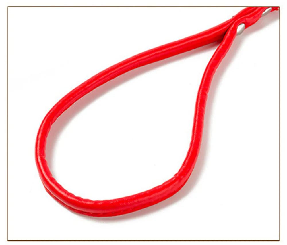 Pet Products Round Colorful PU Rolled Dog Walking Leashes for Small Medium Breeds Dogs Puppy Chain Lead Training Walking Leash