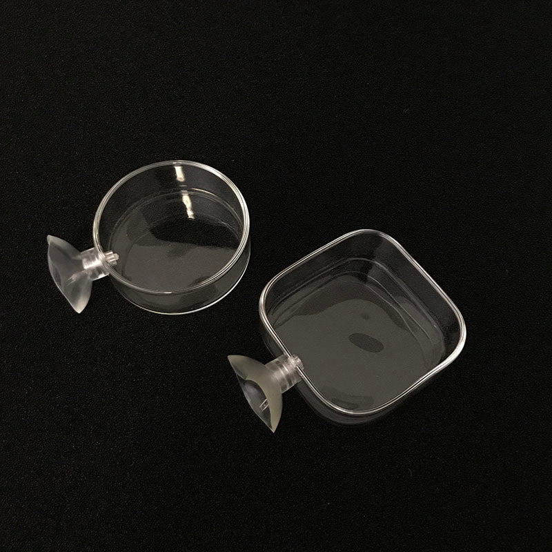 Transparent Aquarium Fish Tank Shrimp Food Feeding Circle Glass Feeder Floating Bottom Feeder Fish Shrimp Aquarium Accessories