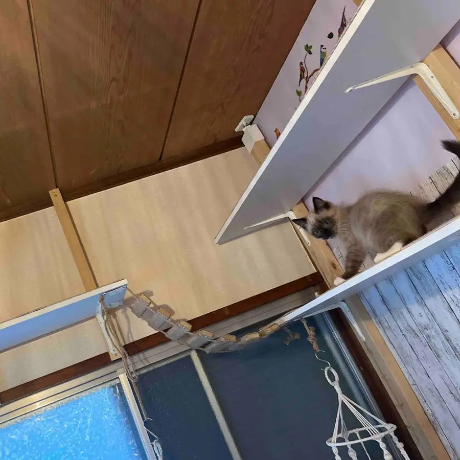 Cat Wall Cat Tree Wooden Climbing Shelves Cat Hammock Bridge with Sisal Ladder and Platform for Kitten Pet Furniture Playground