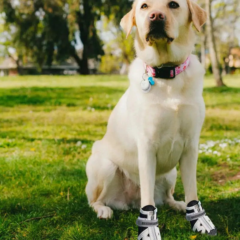 4PCS Dog Boots Dog Boots Paw Protector 5 Sizes Dog Boots With Rugged Rubber Sole Breathable Dog Boots Anti-slip For Summer
