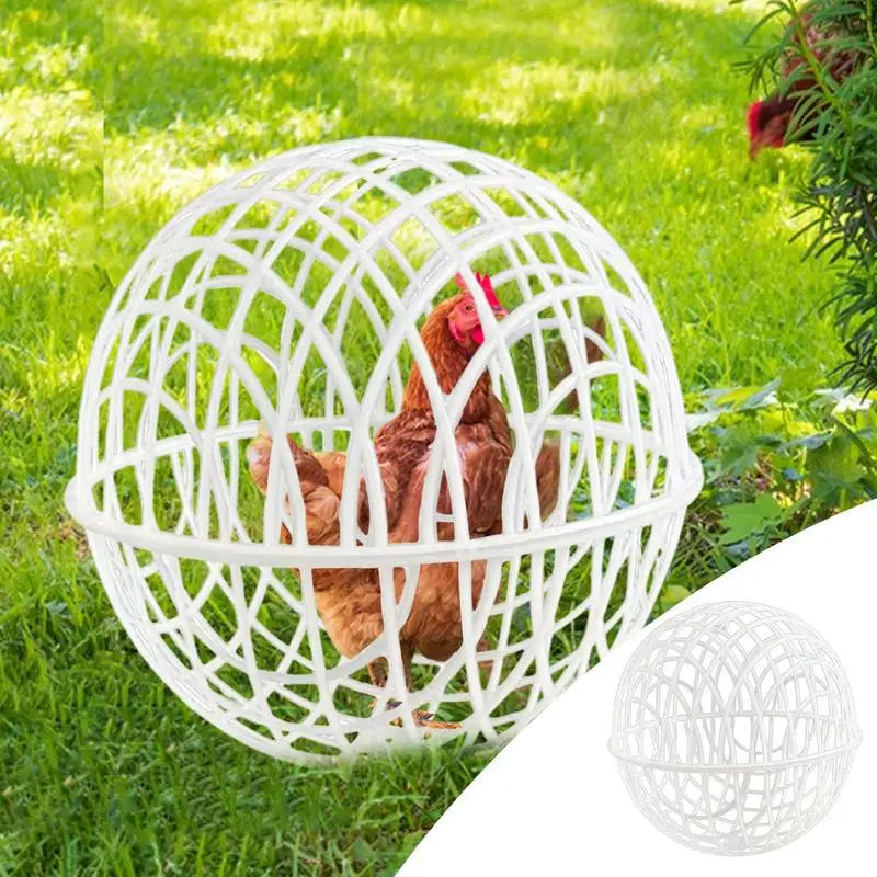 Ball Cage For Chickens Movable 3 Pieces Chicken Orb Ball Cage Pet Safety Chicken Cage Ball-Shaped Chicken Hamster Ball Cage