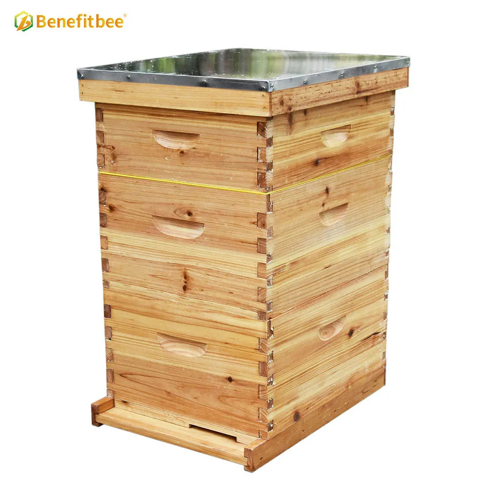 Wholesale bee hives beekeeping wooden langstroth beehive with frame