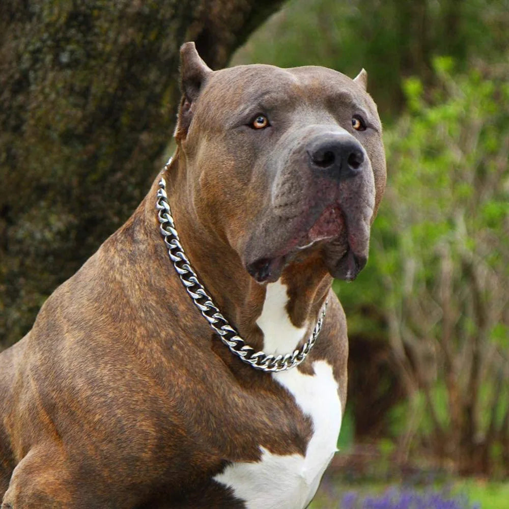 Dog Chain Collar Silvery Golden 15MM Width Cuban Link Chain for Dogs Strong Smooth Stainless Steel Metal Pet Training Slip Chain