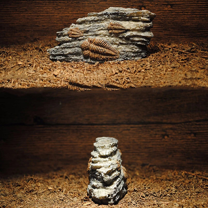 1pcs Aquarium Decorations Resin Fossil Artificial Fish Tank Ornament Shrimps Small Fish Reptile Aquarium Shelter Landscape Decor