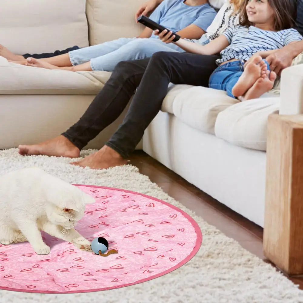 2 in 1 Self Rotating Ball Cat Toy Smart Interactive Cat Toy USB Rechargeable Wicked Ball 360 Degree Automatic Cat Moving Rolling